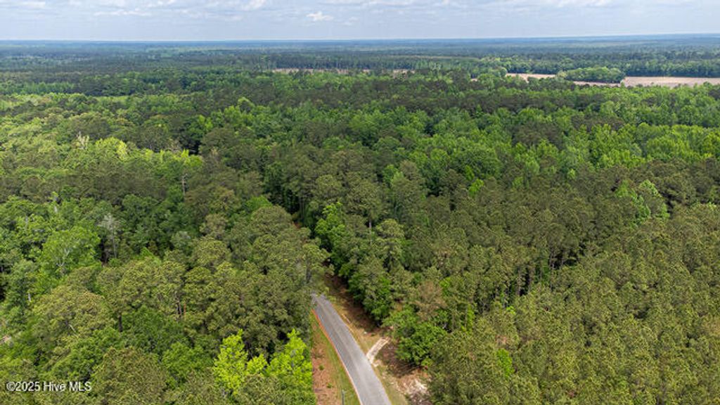 Photo of 4 Near Keith Rd &amp; Canetuck Rd Road, Atkinson, NC 28421 (MLS # 100499725)