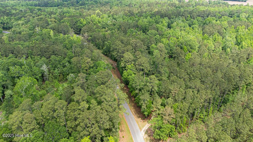 Photo of 4 Near Keith Rd &amp; Canetuck Rd Road, Atkinson, NC 28421 (MLS # 100499725)