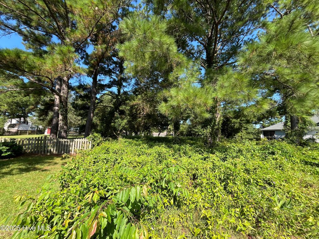 Photo of 205 Egret Point Drive, Sneads Ferry, NC 28460 (MLS # 100521730)