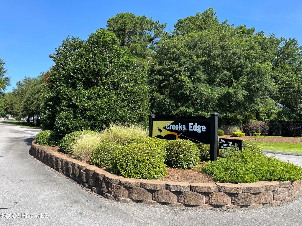 Photo of 205 Egret Point Drive, Sneads Ferry, NC 28460 (MLS # 100521730)