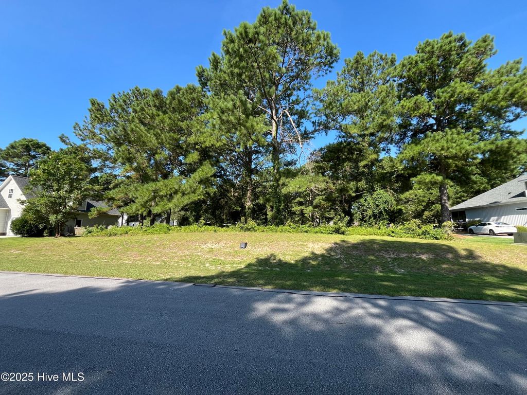 Photo of 205 Egret Point Drive, Sneads Ferry, NC 28460 (MLS # 100521730)