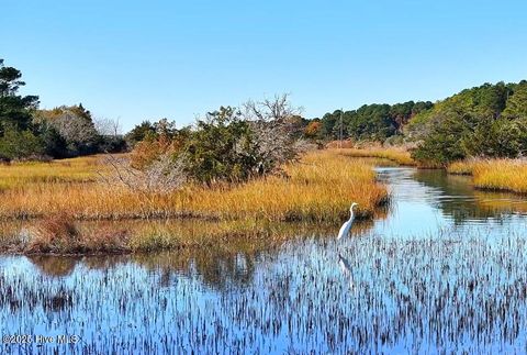 Tiny photo for 138 Royal Palms Way, Holly Ridge, NC 28445 (MLS # 100542107)