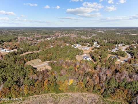 Tiny photo for 138 Royal Palms Way, Holly Ridge, NC 28445 (MLS # 100542107)