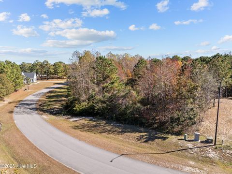 Tiny photo for 138 Royal Palms Way, Holly Ridge, NC 28445 (MLS # 100542107)