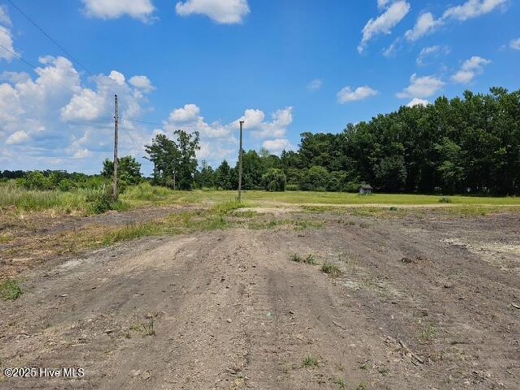 Photo of 210 Memory Lane, Burgaw, NC 28425 (MLS # 100517251)