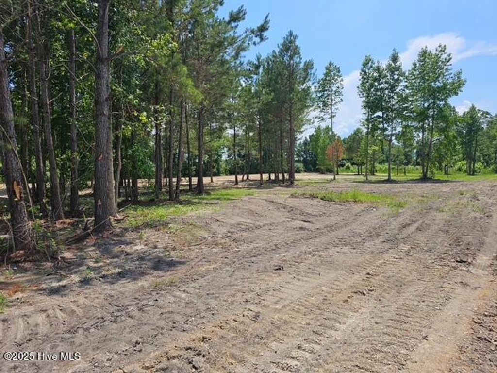 Photo of 210 Memory Lane, Burgaw, NC 28425 (MLS # 100517251)