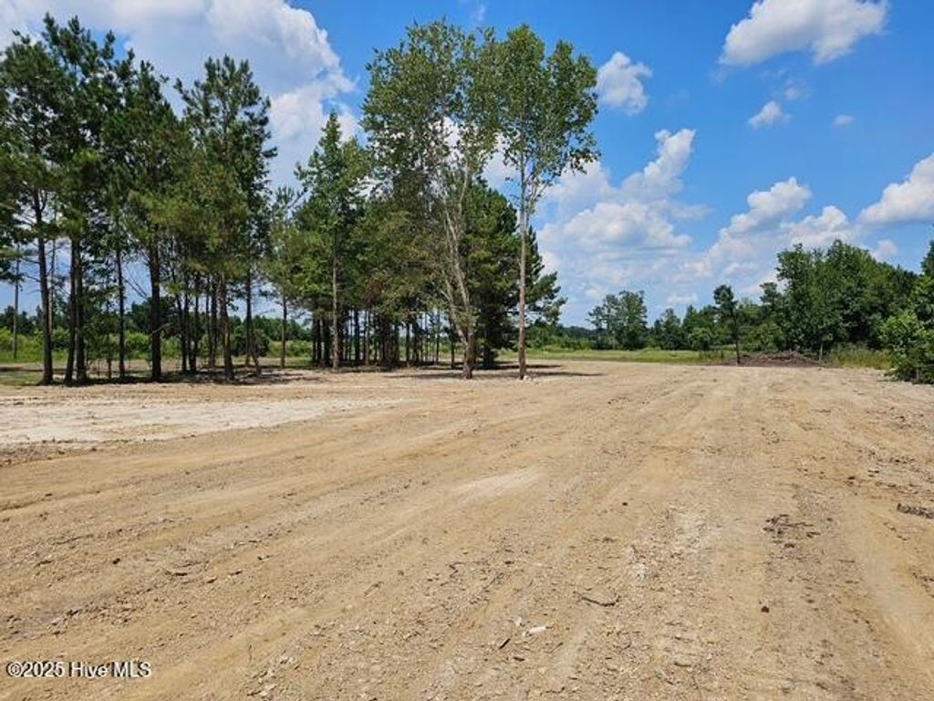 Photo of 210 Memory Lane, Burgaw, NC 28425 (MLS # 100517251)