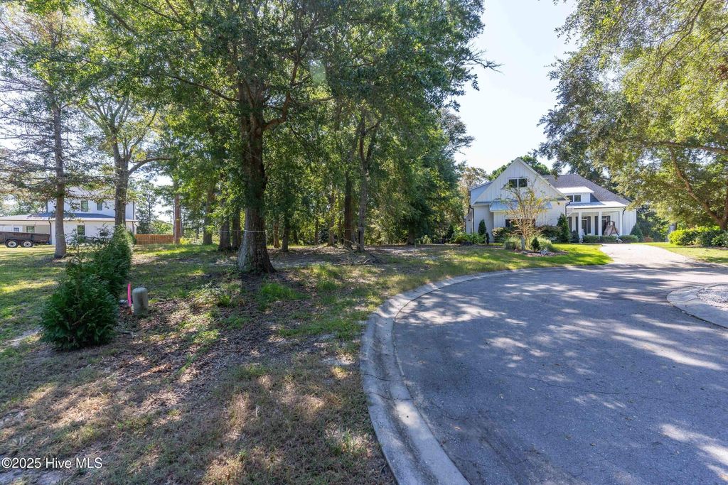 Photo of 204 Joshuas Way, Southport, NC 28461 (MLS # 100533629)