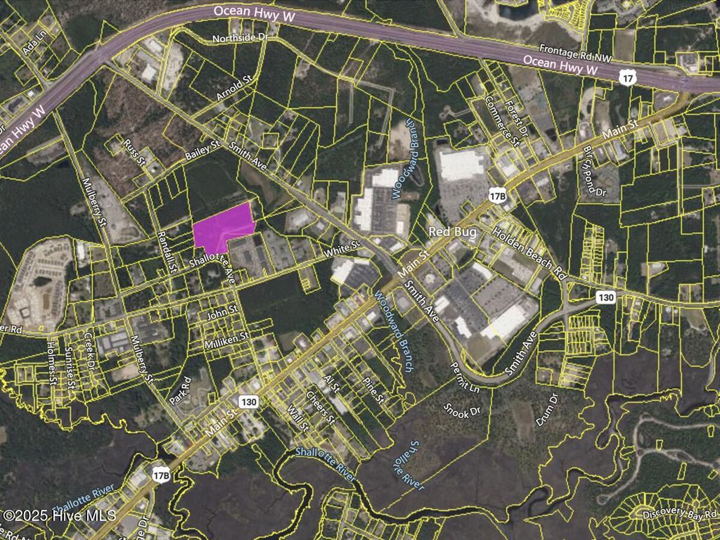 Photo of 4700 Shallotte Avenue, Shallotte, NC 28470 (MLS # 100488410)