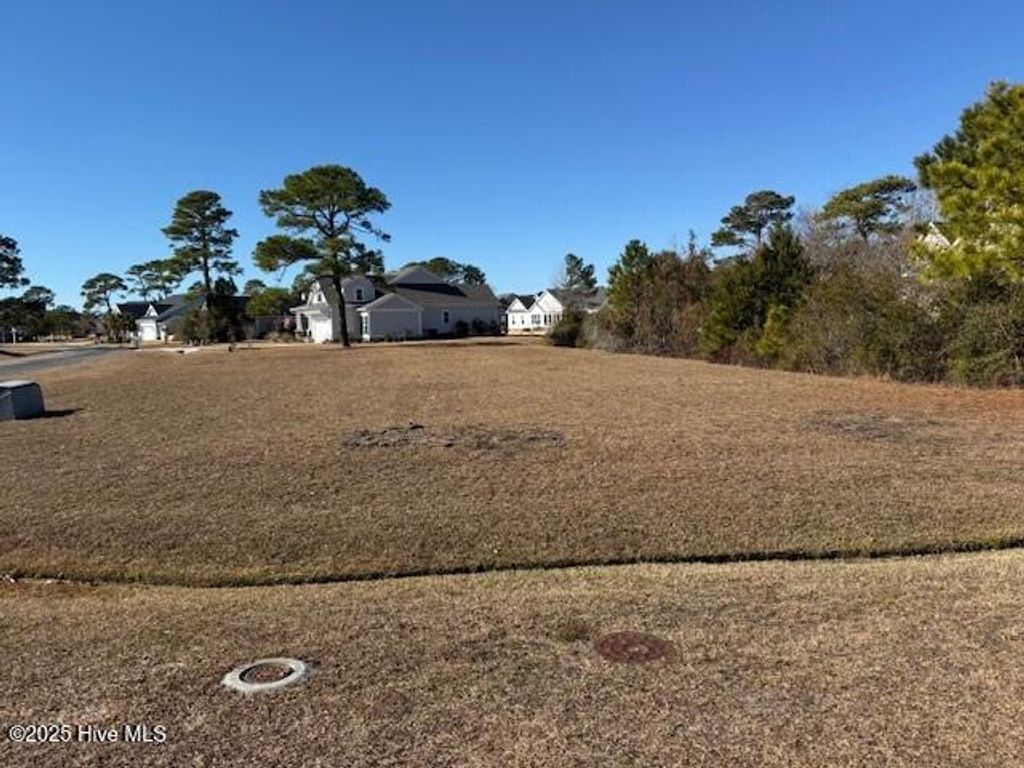 Photo of 4397 Ascot Circle SE, Southport, NC 28461 (MLS # 100482344)