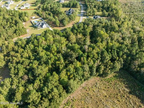 Tiny photo for 158 Royal Palms Way, Holly Ridge, NC 28445 (MLS # 100533121)
