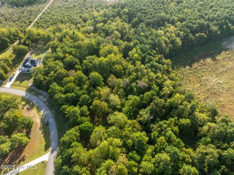 Tiny photo for 158 Royal Palms Way, Holly Ridge, NC 28445 (MLS # 100533121)