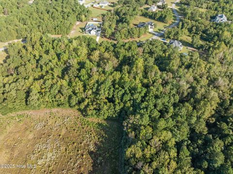 Tiny photo for 158 Royal Palms Way, Holly Ridge, NC 28445 (MLS # 100533121)