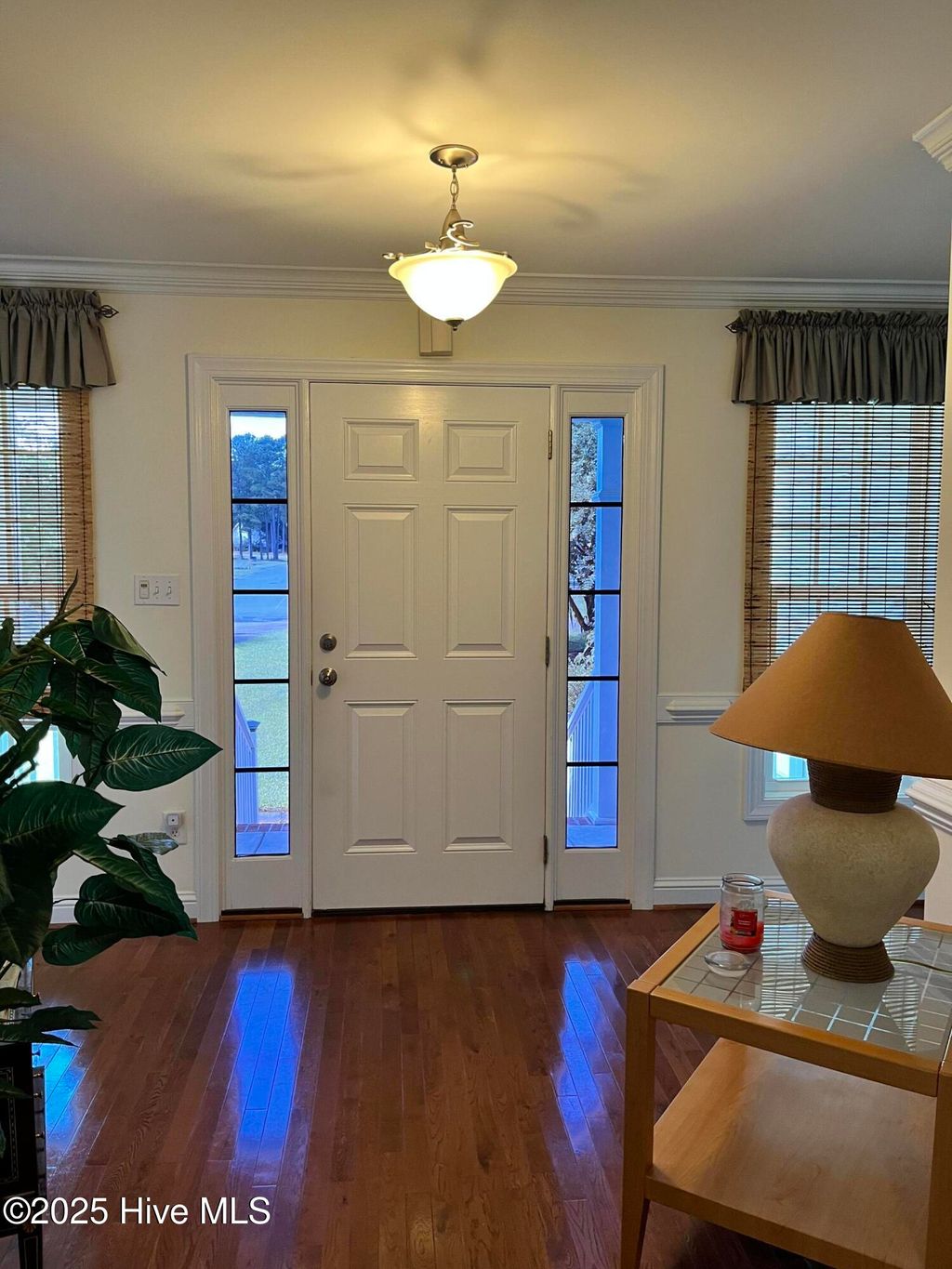 Photo of 414 Ash Lily Court, Nashville, NC 27856 (MLS # 100524975)