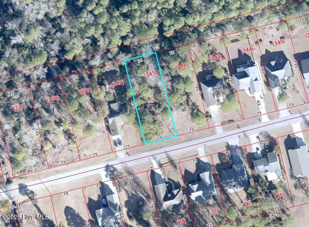 Photo of 2028 Caracara Drive, New Bern, NC 28560 (MLS # 100517120)
