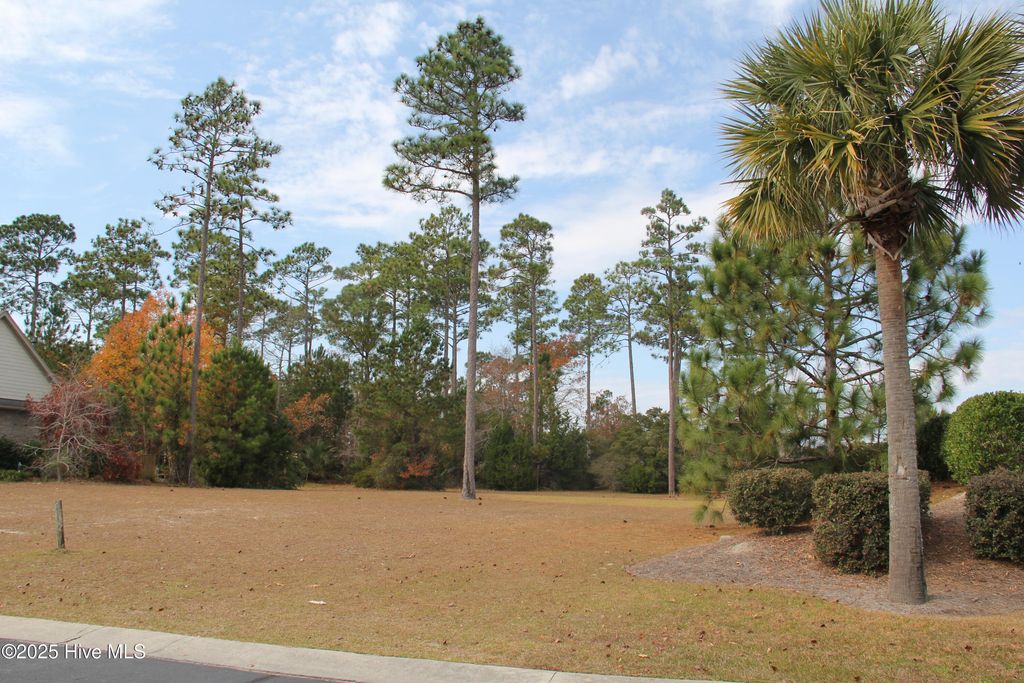 Photo of 1274 St Simons Drive SE, Bolivia, NC 28422 (MLS # 100543557)