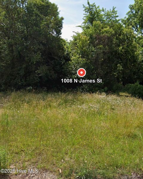 Photo of 1008 N James Street, Goldsboro, NC 27530 (MLS # 100543641)