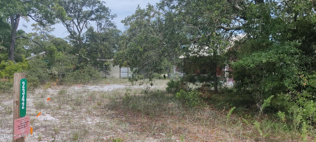 Photo of 2338 Jolly Roger Drive SW, Supply, NC 28462 (MLS # 100527422)