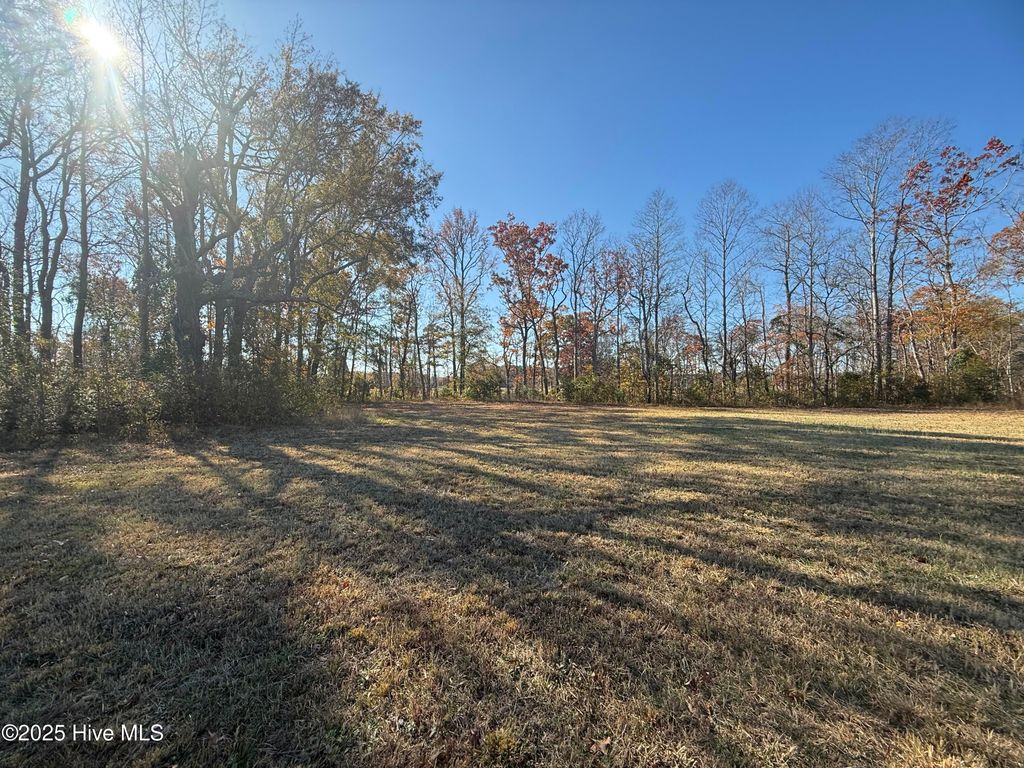 Photo of 136 Bridgewater Drive S, Bath, NC 27808 (MLS # 100542696)