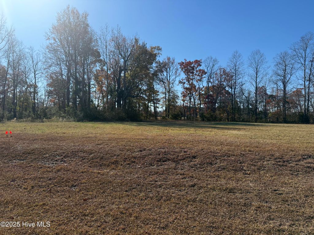 Photo of 136 Bridgewater Drive S, Bath, NC 27808 (MLS # 100542696)