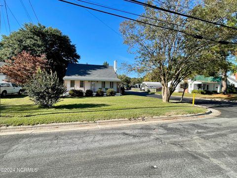 A home in Williamston