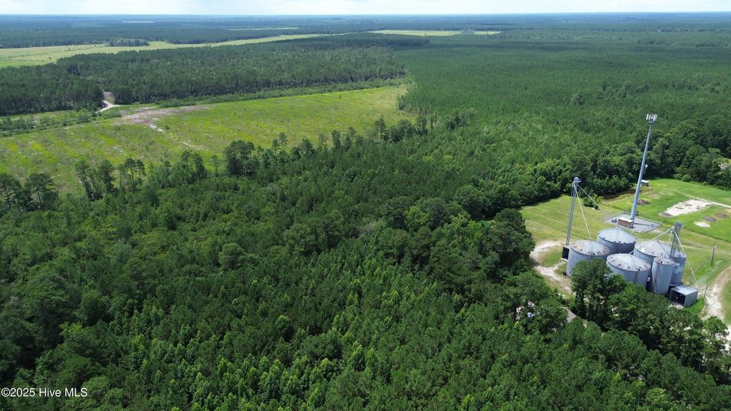 Photo of 0 Hwy 53, Burgaw, NC 28425 (MLS # 100522454)