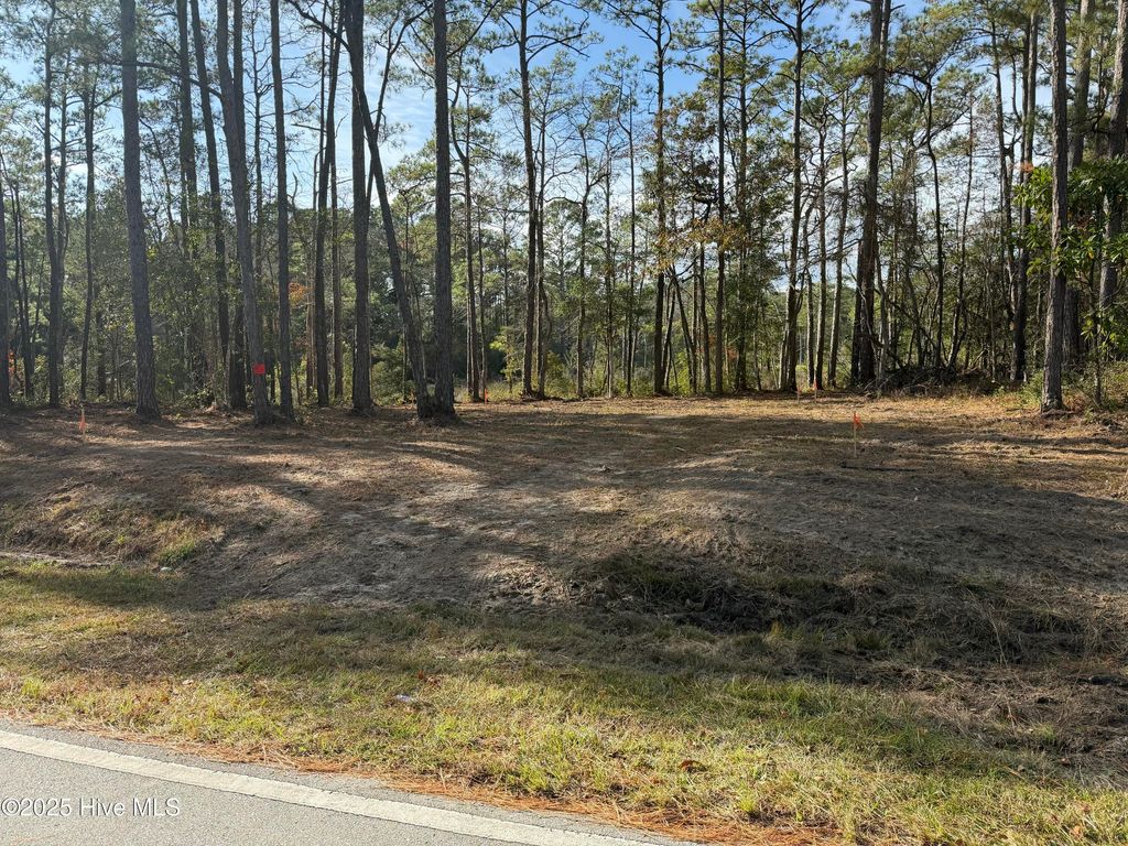 Photo of 183 Straits Road, Beaufort, NC 28516 (MLS # 100543267)