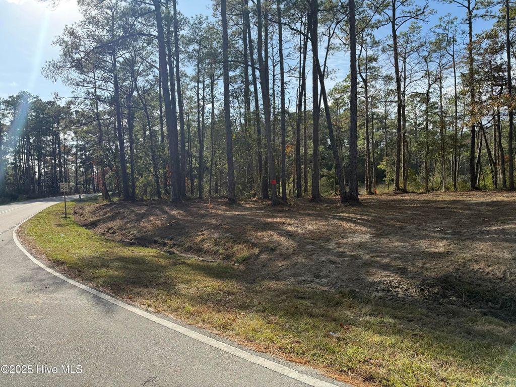 Photo of 183 Straits Road, Beaufort, NC 28516 (MLS # 100543267)