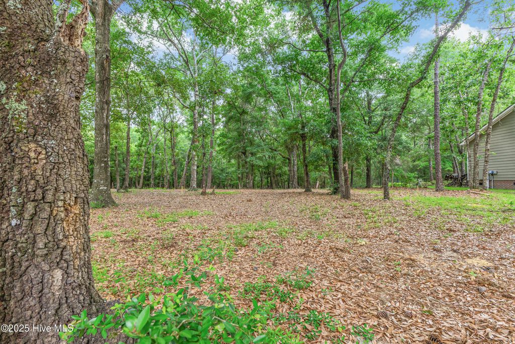 Photo of 3197 Marsh View Drive SW, Supply, NC 28462 (MLS # 100511941)