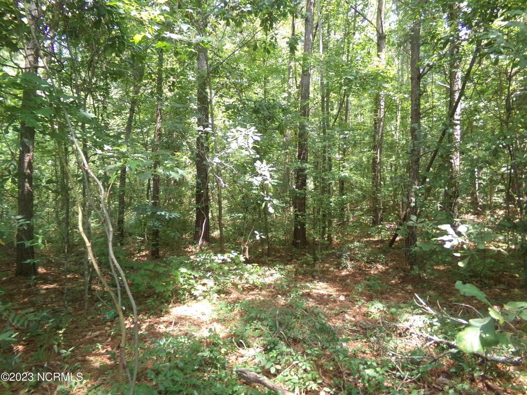 Photo of 16 Straight Way Road, Fairmont, NC 28340 (MLS # 100528447)