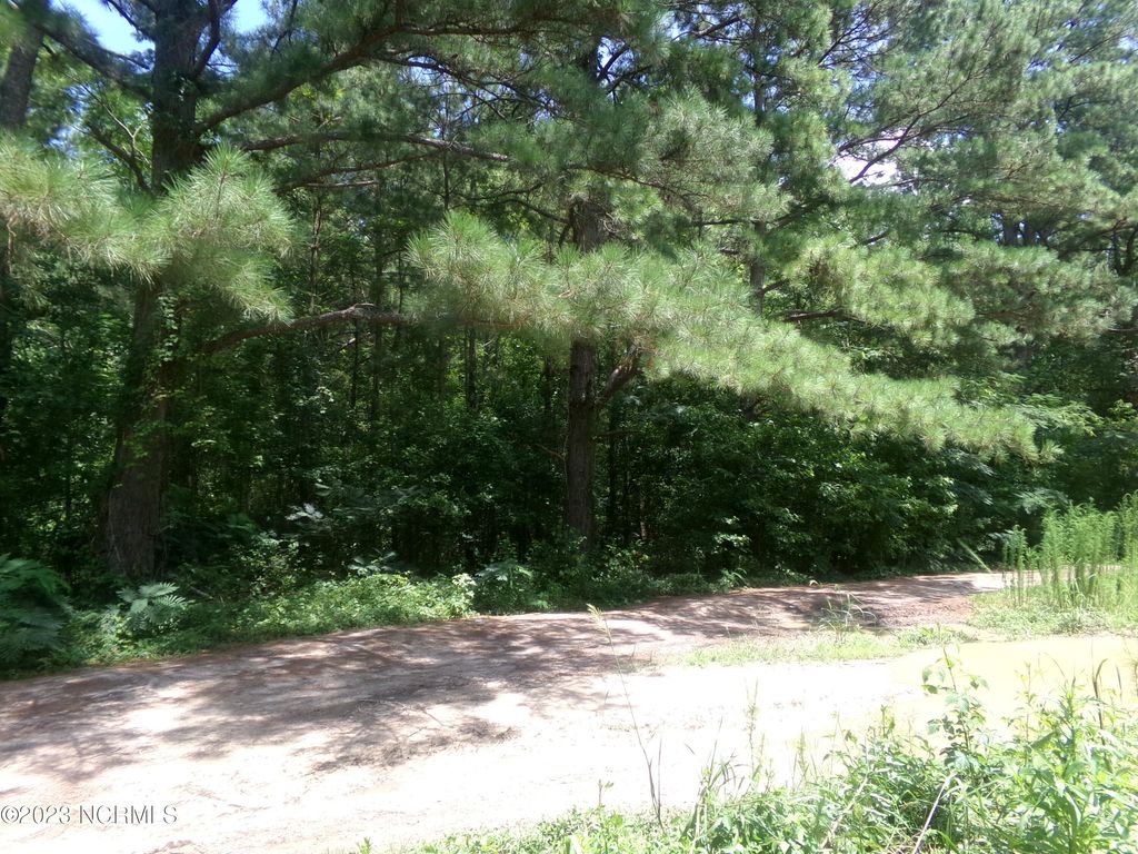 Photo of 16 Straight Way Road, Fairmont, NC 28340 (MLS # 100528447)
