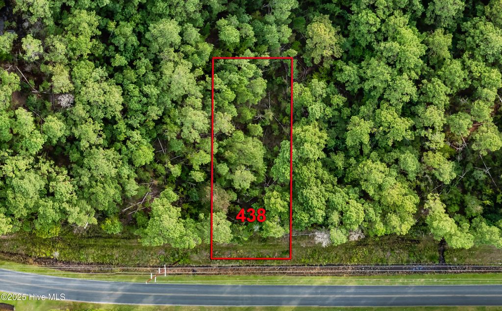 Photo of 438 Chadwick Acres Road, Sneads Ferry, NC 28460 (MLS # 100530069)
