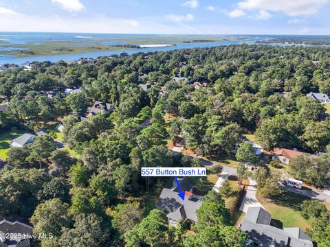 Tiny photo for 557 Button Bush Lane, Hampstead, NC 28443 (MLS # 100534757)