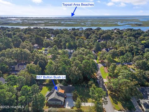 Tiny photo for 557 Button Bush Lane, Hampstead, NC 28443 (MLS # 100534757)