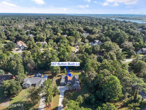 Tiny photo for 557 Button Bush Lane, Hampstead, NC 28443 (MLS # 100534757)