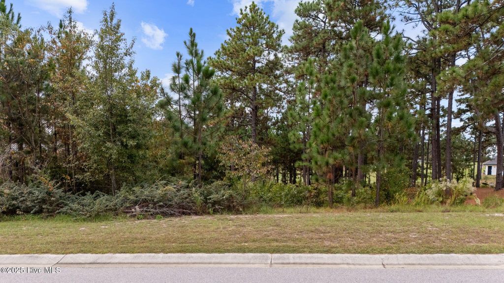 Photo of 56 Plantation Drive, Southern Pines, NC 28387 (MLS # 100536568)