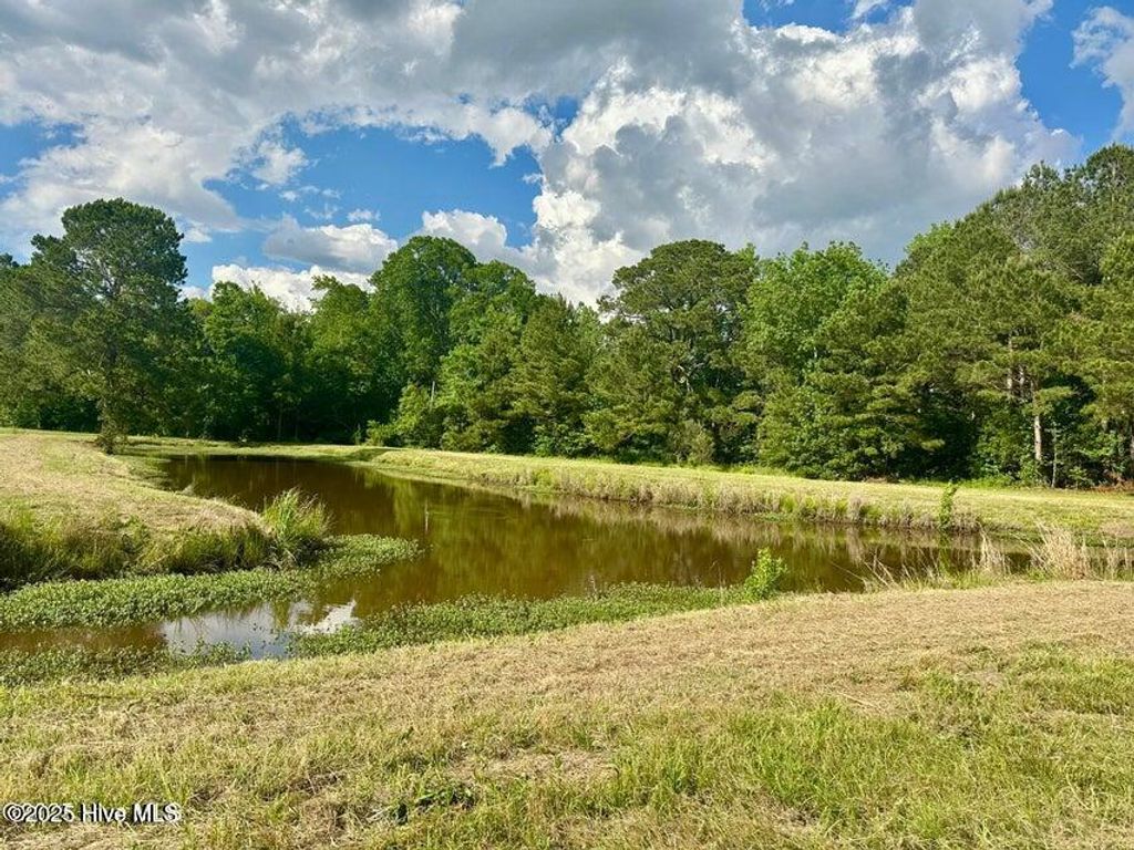 Photo of 2045 Dolph Lewis Road, Cerro Gordo, NC 28430 (MLS # 100542924)