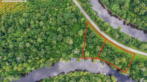 Photo of Lots C & D Croomsbridge Road, Burgaw, NC 28425 (MLS # 100525008)