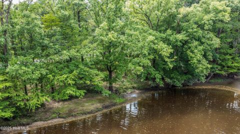 Tiny photo for Lots C & D Croomsbridge Road, Burgaw, NC 28425 (MLS # 100525008)