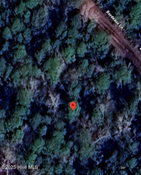 Photo of 261 Bordeaux Lane, Boiling Spring Lakes, NC 28461 (MLS # 100535389)