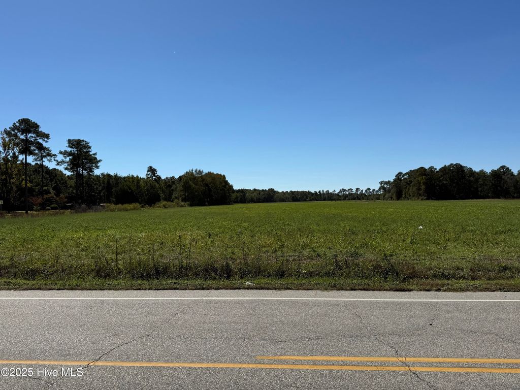 Photo of 125 Acres Bonnetsville Road, Clinton, NC 28328 (MLS # 100537042)