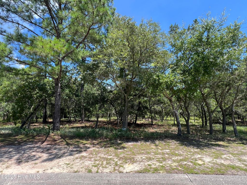 Photo of 3648 SW Natchez Street SW, Supply, NC 28462 (MLS # 100527060)