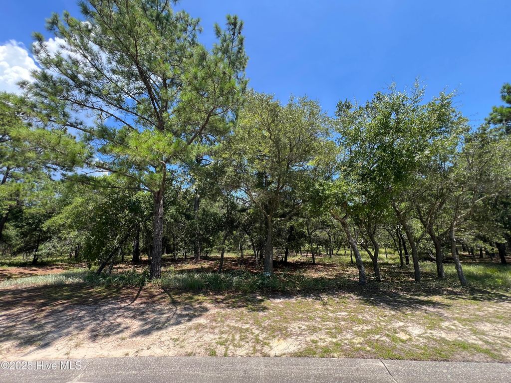 Photo of 3648 SW Natchez Street SW, Supply, NC 28462 (MLS # 100527060)