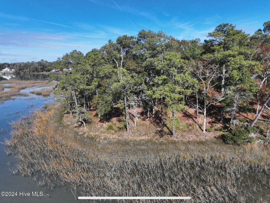 Photo of 1843 Harbour Edge Lane SW, Supply, NC 28462 (MLS # 100481360)
