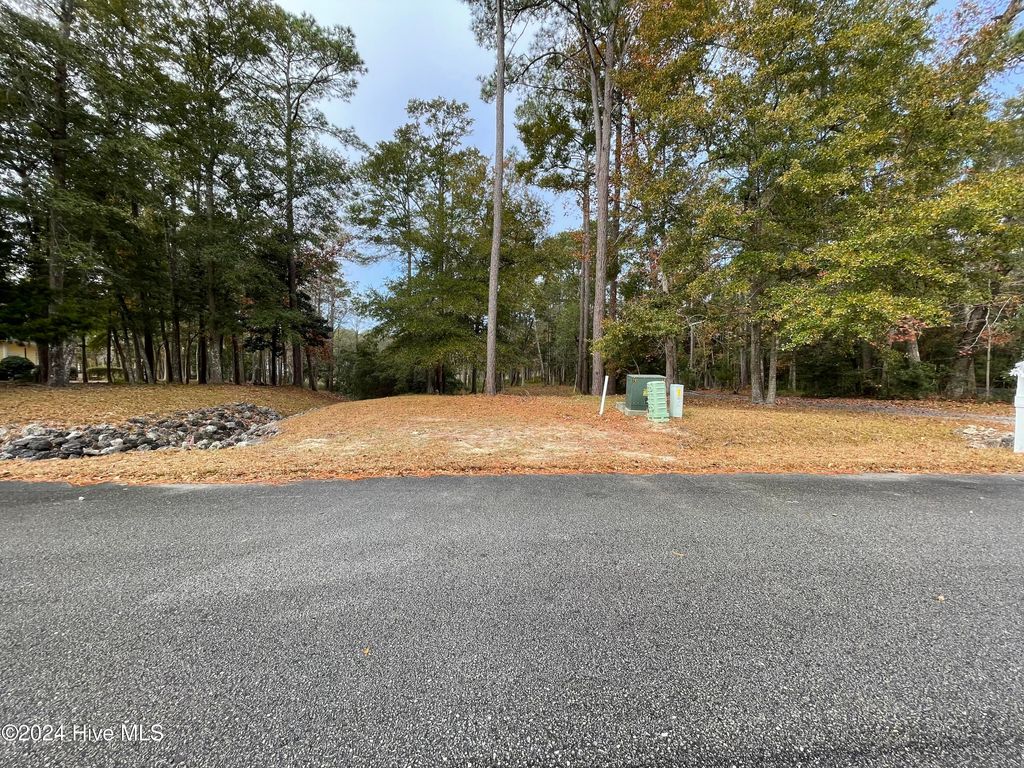 Photo of 1843 Harbour Edge Lane SW, Supply, NC 28462 (MLS # 100481360)