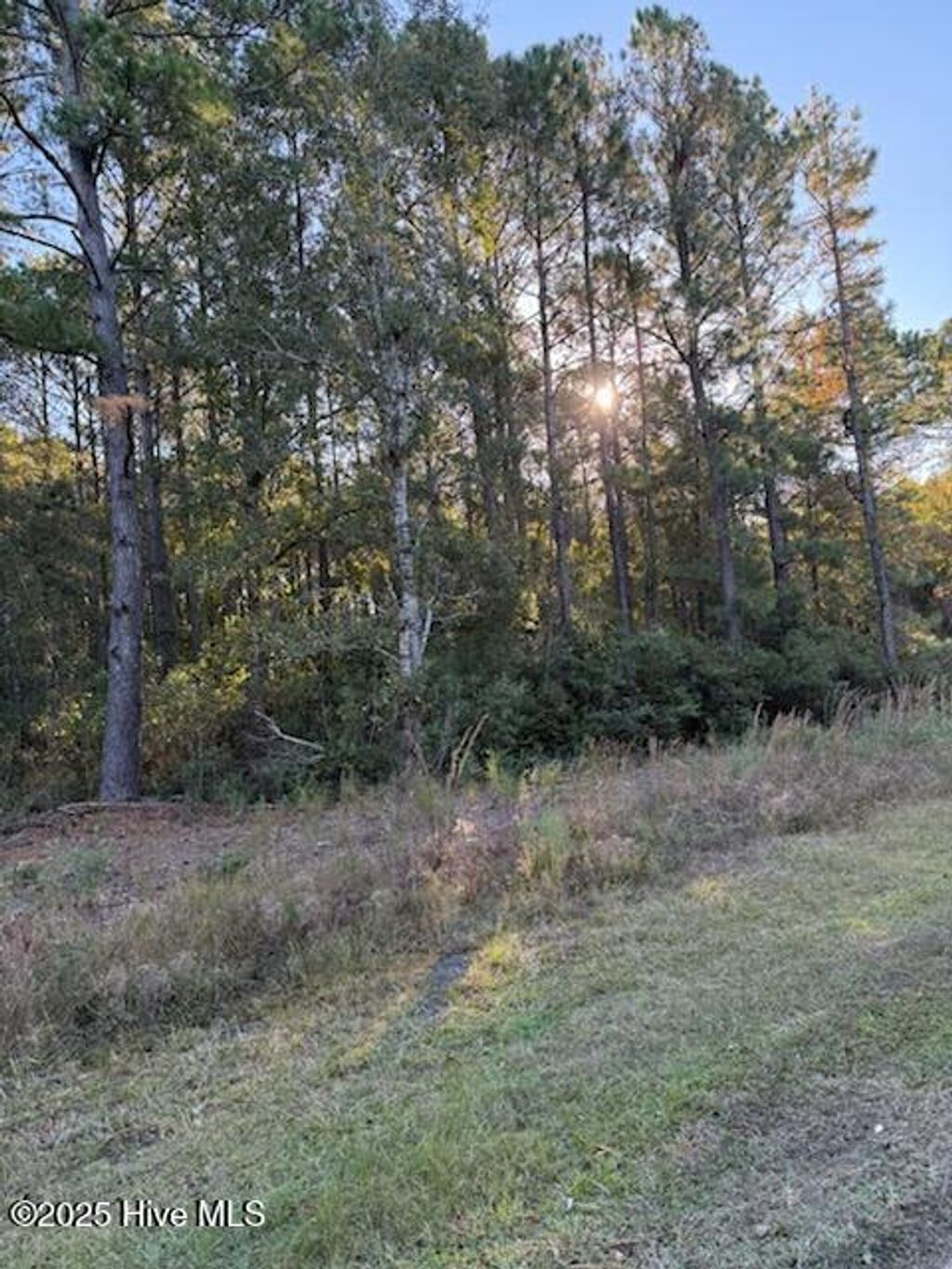 Photo of 1565 Driftwood Drive SW, Ocean Isle Beach, NC 28469 (MLS # 100540850)