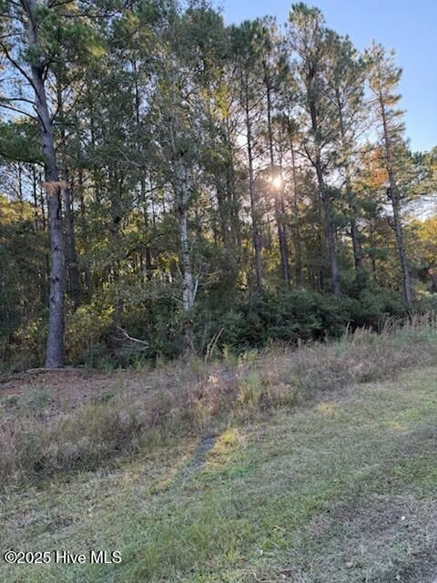 Photo of 1565 Driftwood Drive SW, Ocean Isle Beach, NC 28469 (MLS # 100540850)