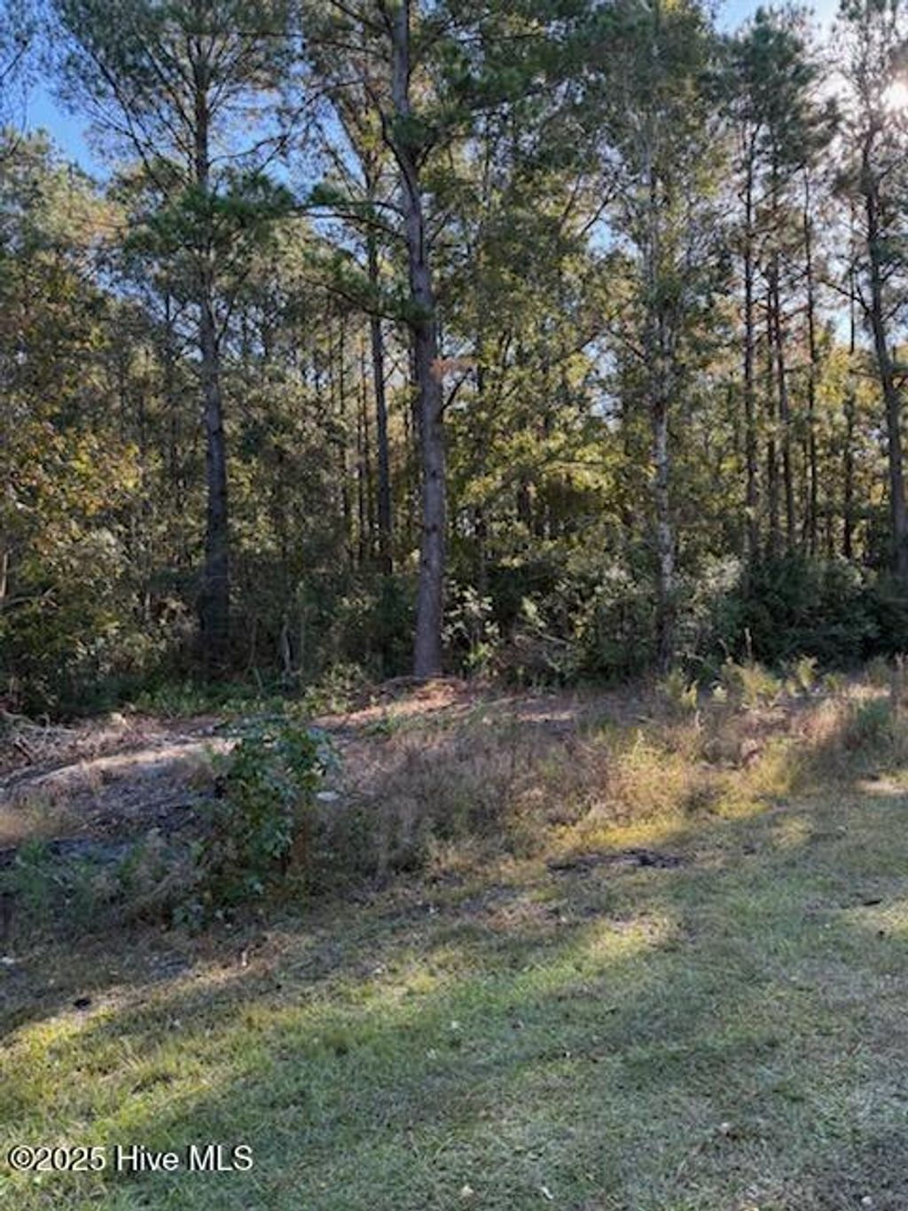 Photo of 1565 Driftwood Drive SW, Ocean Isle Beach, NC 28469 (MLS # 100540850)