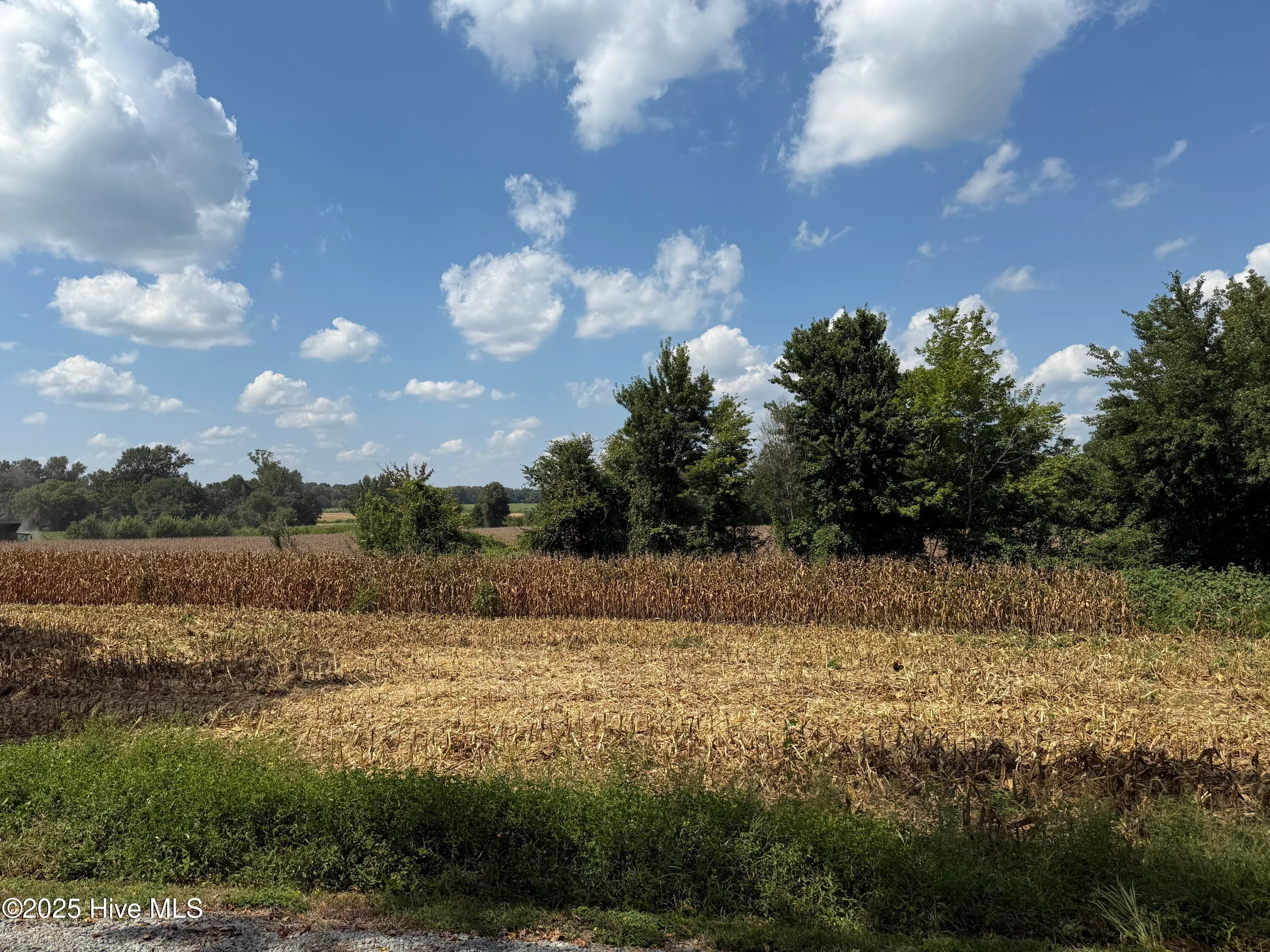 Pikeville, North Carolina 27863, United States, ,Land,Active,143488