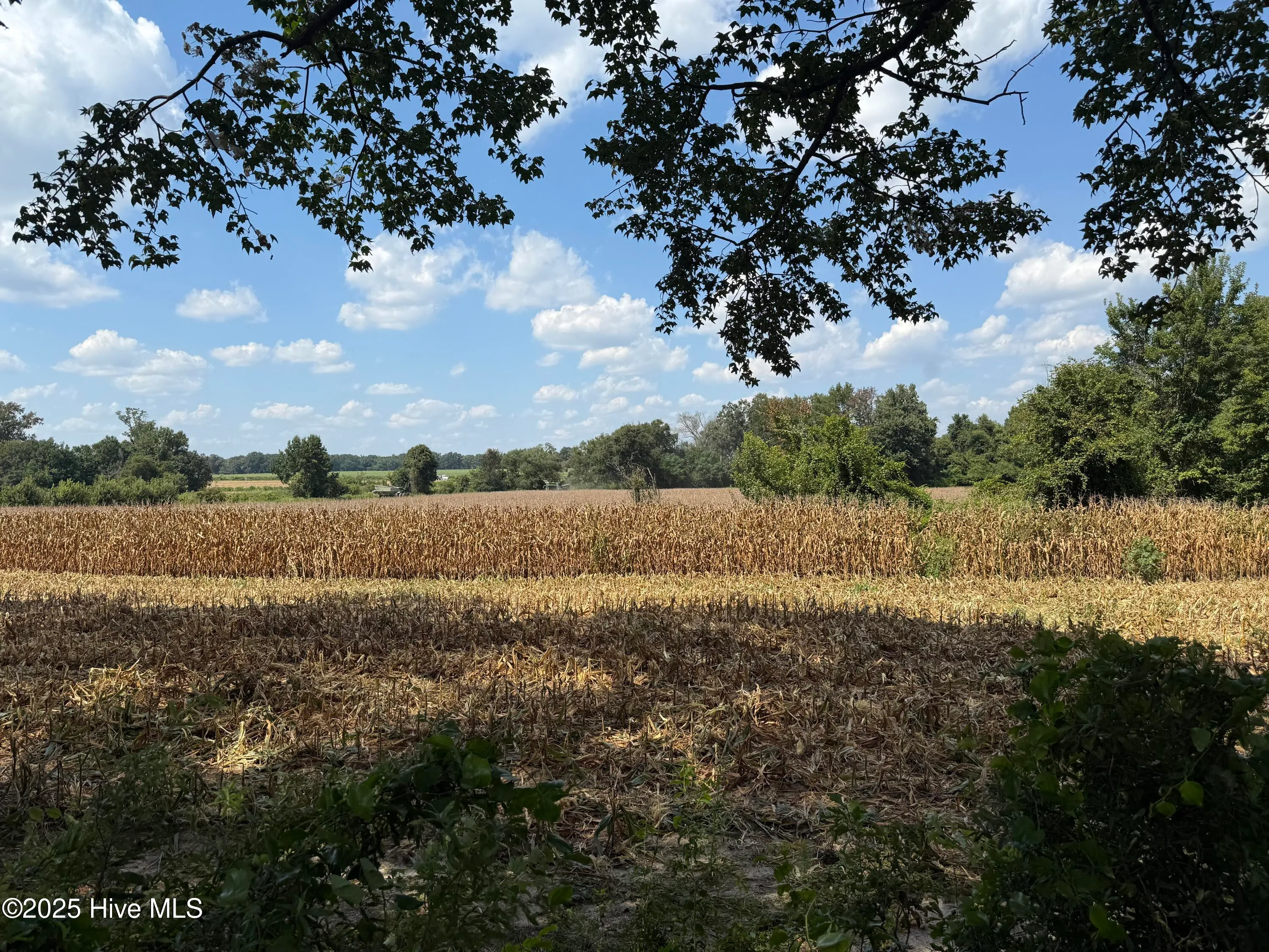 Pikeville, North Carolina 27863, United States, ,Land,Active,143488